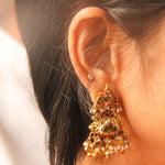 Load image into Gallery viewer, Saudamini Necklace
